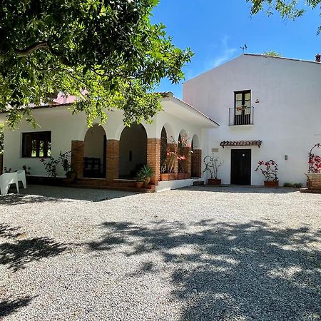 Villa Tana Pacenzia Cefalù Esterno foto